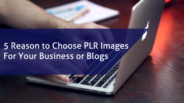 5 Reason to Choose PLR Images for Your Business or Blogs