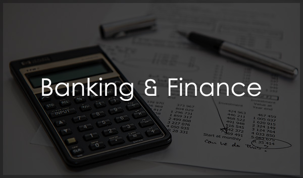 Banking & Finance PLR Images