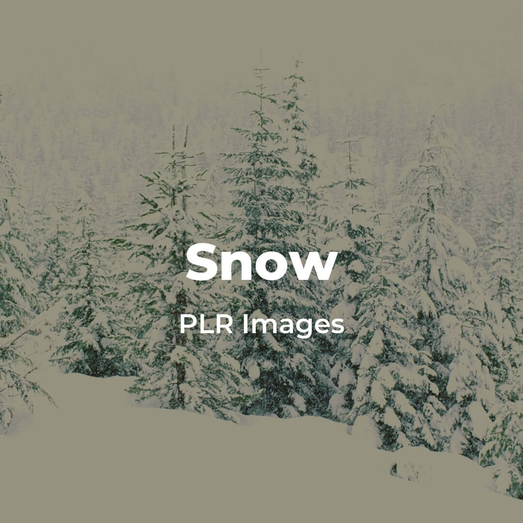 Snow PLR Images