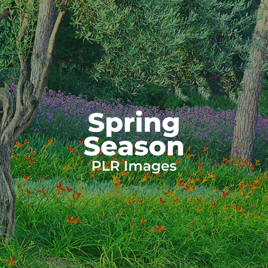 Spring PLR Images