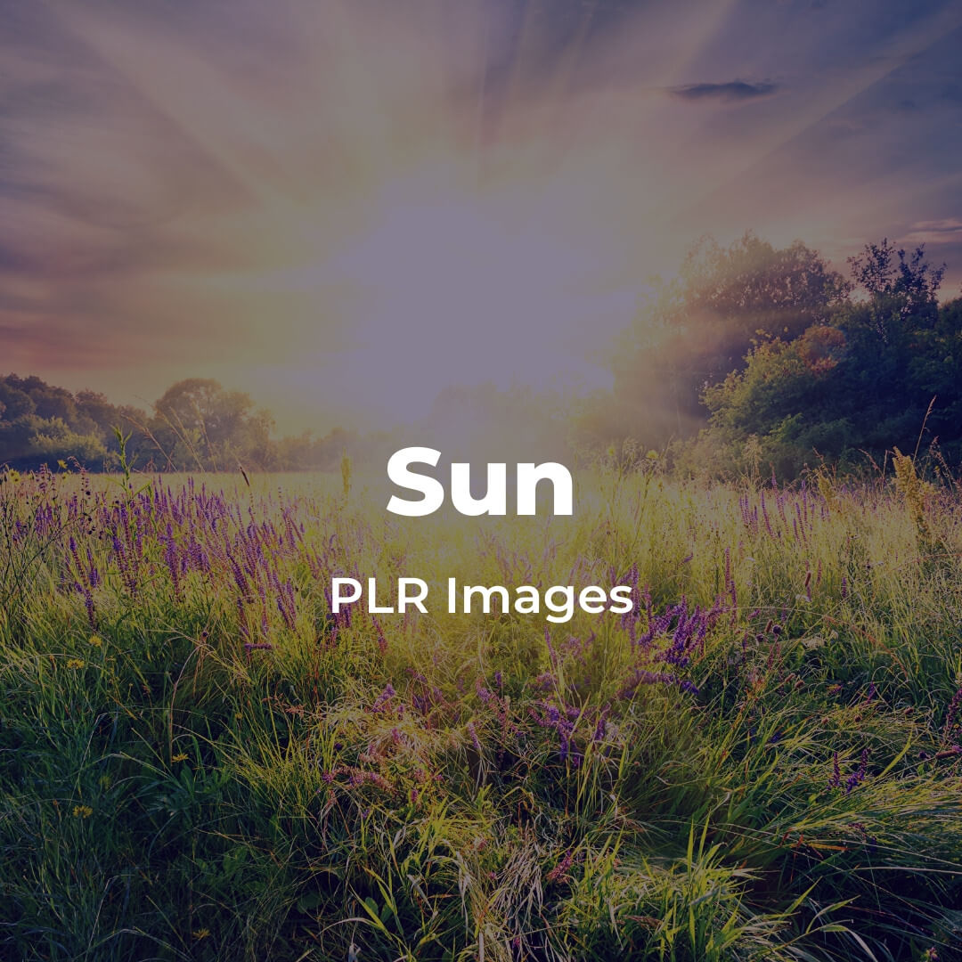 Sun PLR Images