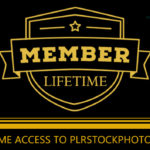 PLR all access membership plan